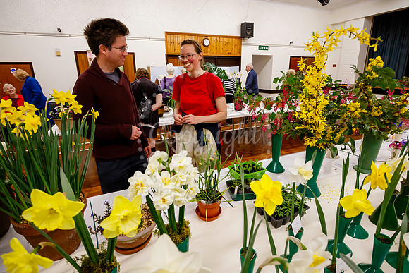 Diss and District Horticultural Society Spring Flower Show