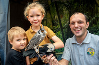 Halloween event for families - Families celebrating Halloween at