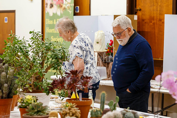 Diss and District Horticultural Society Spring Flower Show