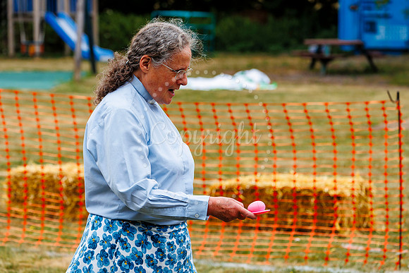 Redlingfield Summer Fayre