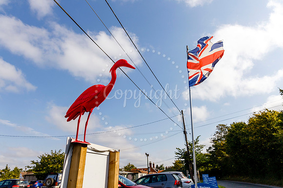 Bird Banksy in Rushall
