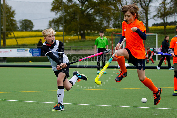 Harleston Magpies hosting the East In2Hockey Championships