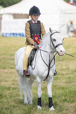 SPF Holbecks Park, Hadleigh, Suffolk186th Hadleigh Show. Pictur