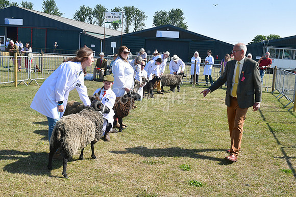 Nottinghamshire County Show