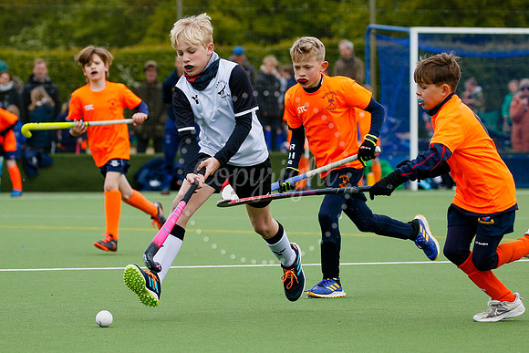 Harleston Magpies hosting the East In2Hockey Championships