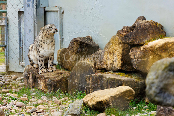 Banham Zoo Easter Egg Hunt
