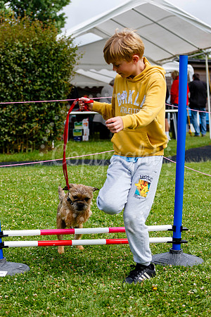 Gislingham Summer Fair held at Primary School field