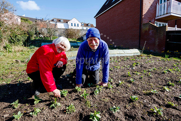 Barclays Bank Allotments