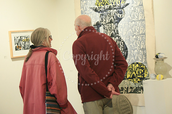 Artists Jo & Gary Hinks Corn Hall Diss