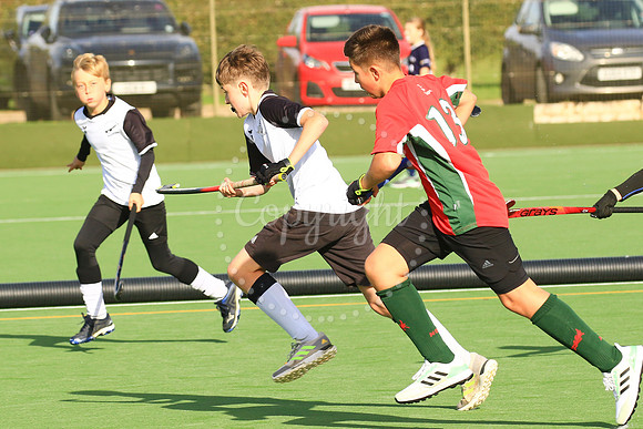 Harleston Magpies 7's Tournament