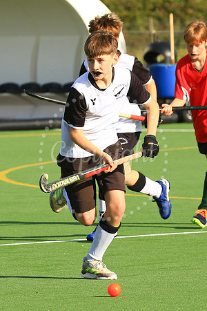 Harleston Magpies 7's Tournament