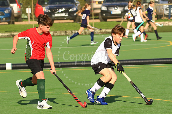 Harleston Magpies 7's Tournament