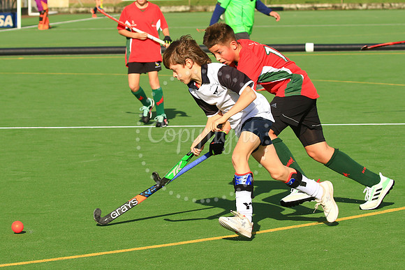 Harleston Magpies 7's Tournament