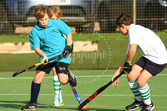 Harleston Magpies 7's Tournament