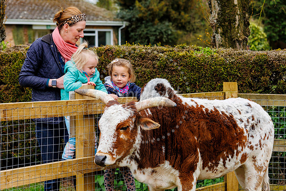 Banham Zoo Easter Egg Hunt
