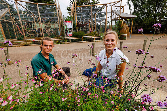 Volunteers have helped to cleared up a green space at Banham Zoo