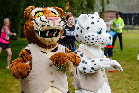 Run Banham Zoo 5K Race