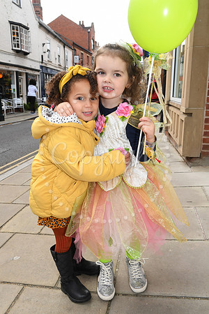 Bramley Apple Festival