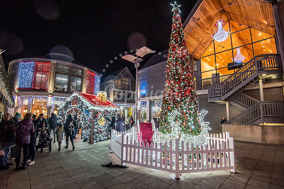 The Our Bury St Edmunds BID Christmas Lights Event.