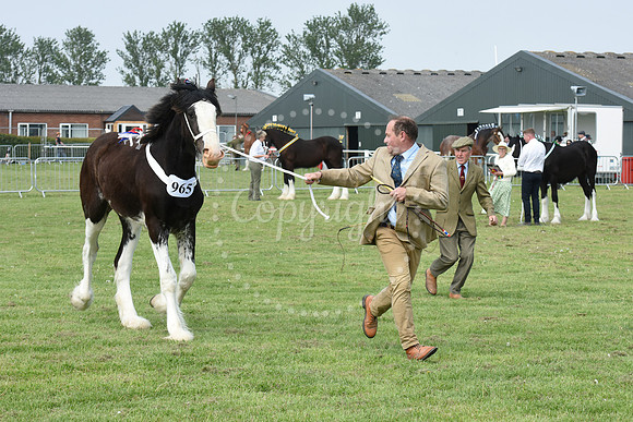 Nottingham County Show