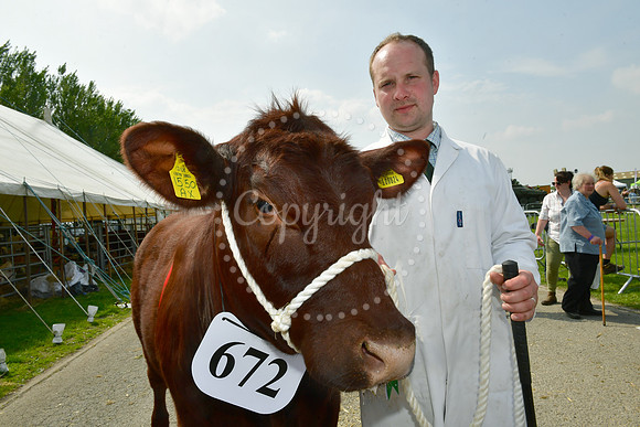 Nottingham County Show