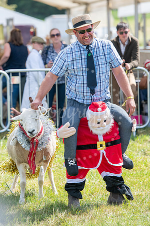 SPF Holbecks Park, Hadleigh, Suffolk186th Hadleigh Show. Pictur