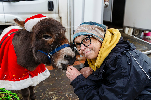 Visit Harleston’s festive day held on the Market Place in the