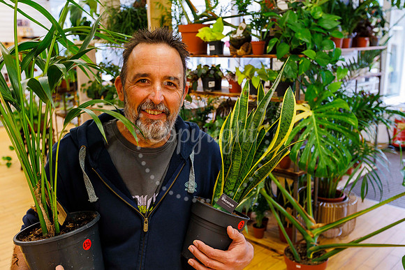 David Morrell of Shabby Shack Tradings at No. 8 Marketplace in D