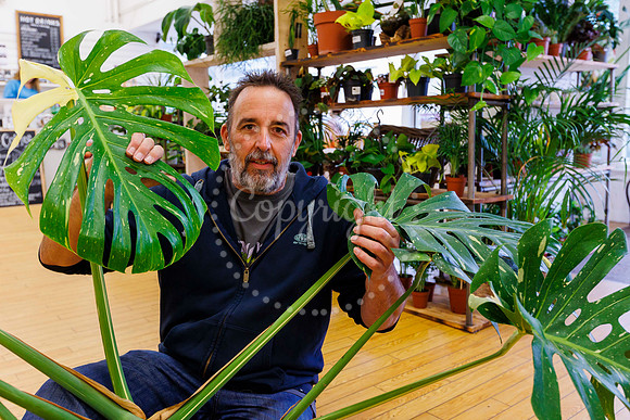 David Morrell of Shabby Shack Tradings at No. 8 Marketplace in D