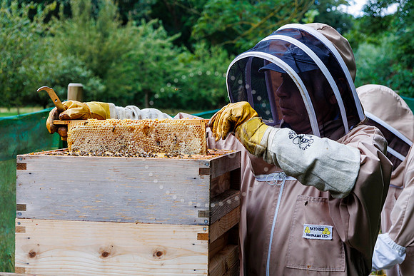 Starston Community Bee Group is celebrating 10 years