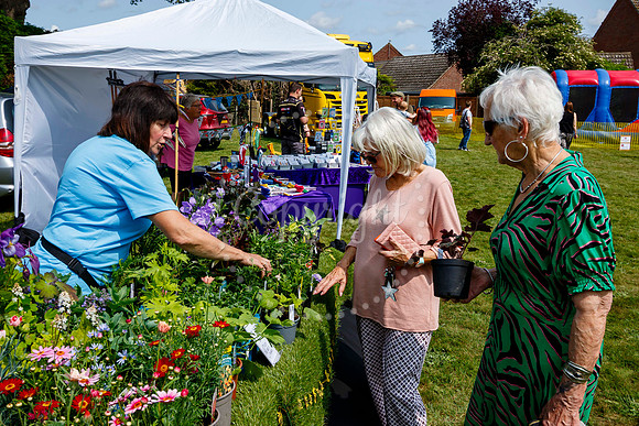 Roydon Summer Fair
