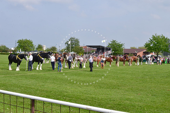 Nottingham County Show