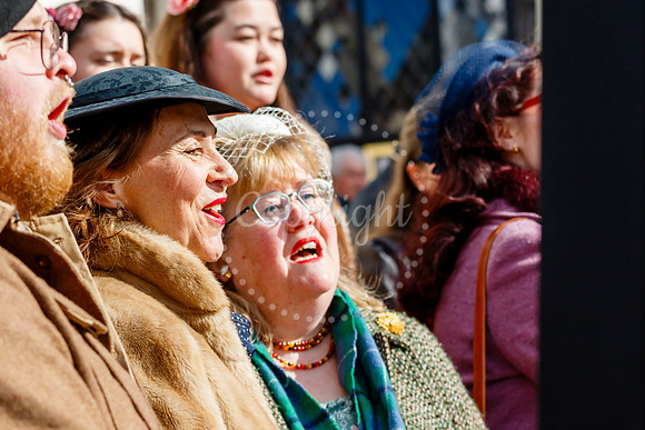Diss Museum Opening Parade