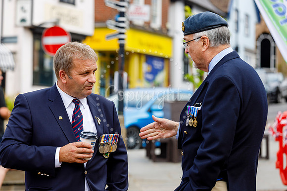 Armed Forces day on Diss Market Place