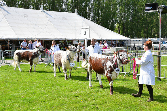 Nottingham County Show