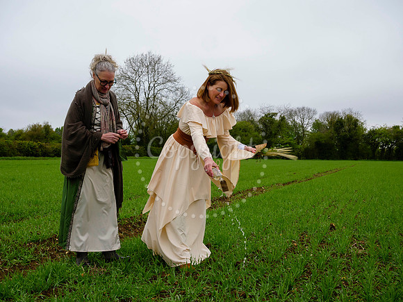 Grain Brewery in Alburgh is doing a blessing of The Barely Queen