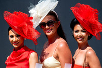 NJ Ladies Day 2025 Newmarket July course. Picture by Mark Westle