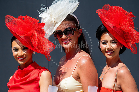 NJ Ladies Day 2025 Newmarket July course. Picture by Mark Westle