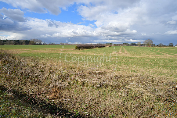 One Earth solar farm, Dunham on Trent
