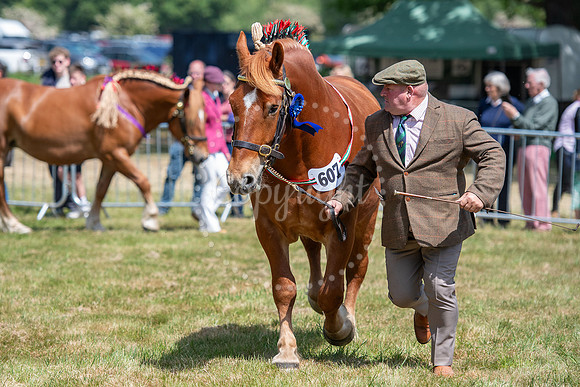 SPF Holbecks Park, Hadleigh, Suffolk186th Hadleigh Show. Pictur