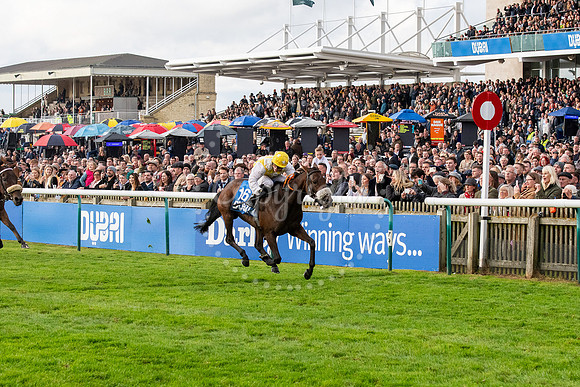 Newmarket Rowley Mile racecourseDubai Future Champions’ weeke
