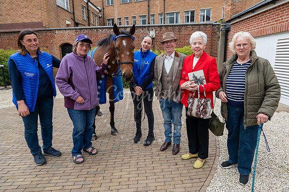 NJ Newmarket National Horseracing Museum, Godolphin therapy hors