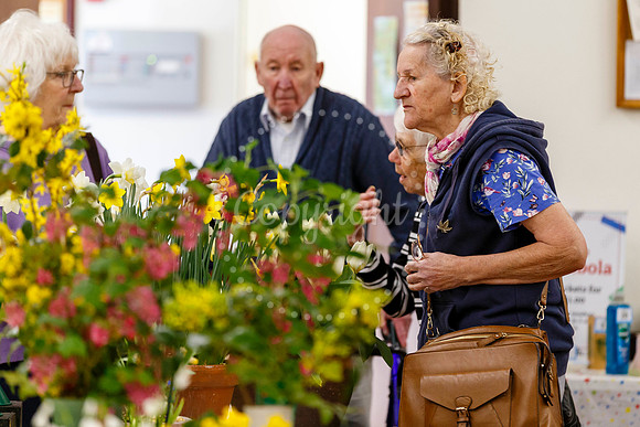 Diss and District Horticultural Society Spring Flower Show