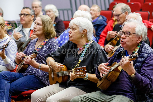 Ukele day held at the Cornhall in Diss