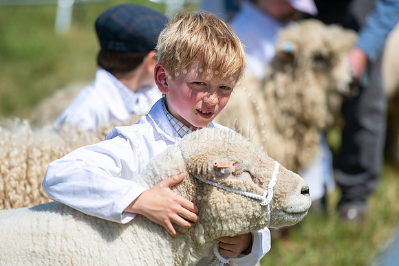SPF Holbecks Park, Hadleigh, Suffolk186th Hadleigh Show. Pictur