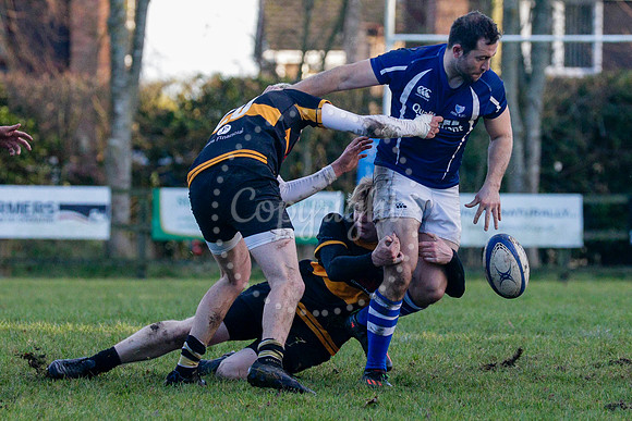 Rugby action from Diss II (Saracens) hosting Southwold II