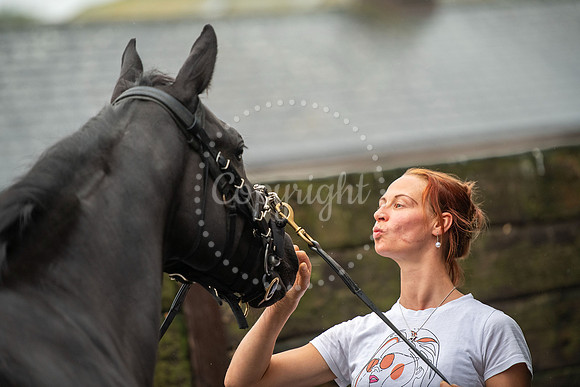 NewmarketNewmarket Stables open day and events on The Severals.