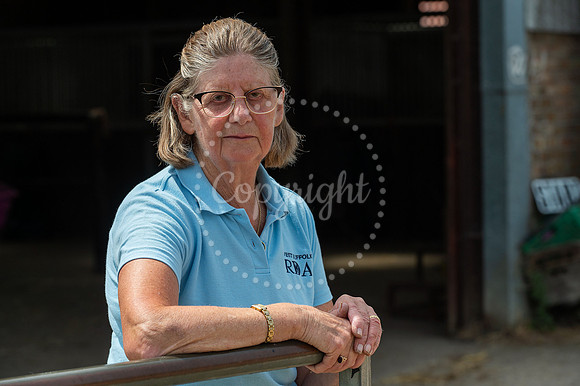 BFP Barrow Hall Stables, Church Rd, Barrow, Bury Saint Edmunds S