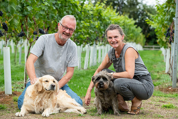 Hawkswood Vineyard, Thurston Place, Beyton Road, ThurstonMichae
