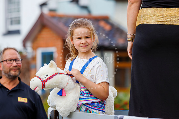 Pulham Market Carnival returns with the theme of 'Kings and Quee